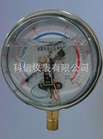 耐震電接點(diǎn)壓力表